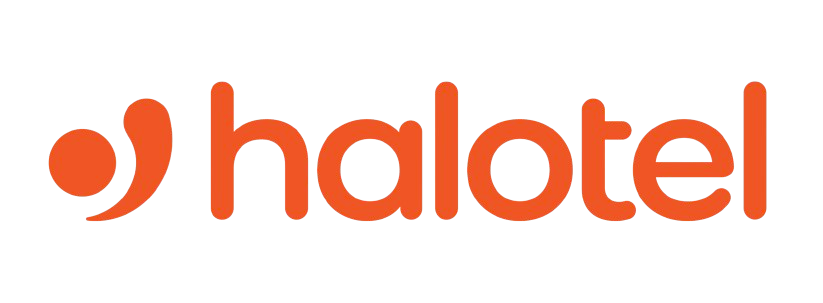 MNO Logo
